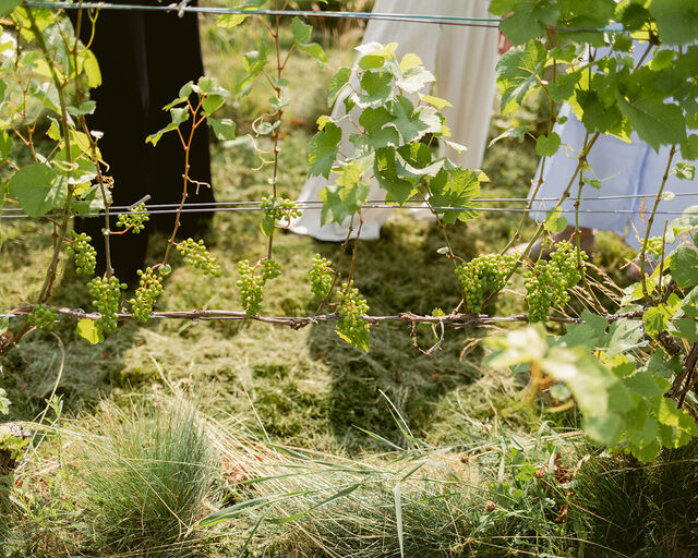 Big Little Wines Summer Preview 13 websize