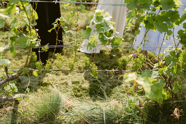 Big Little Wines Summer Preview 13 websize