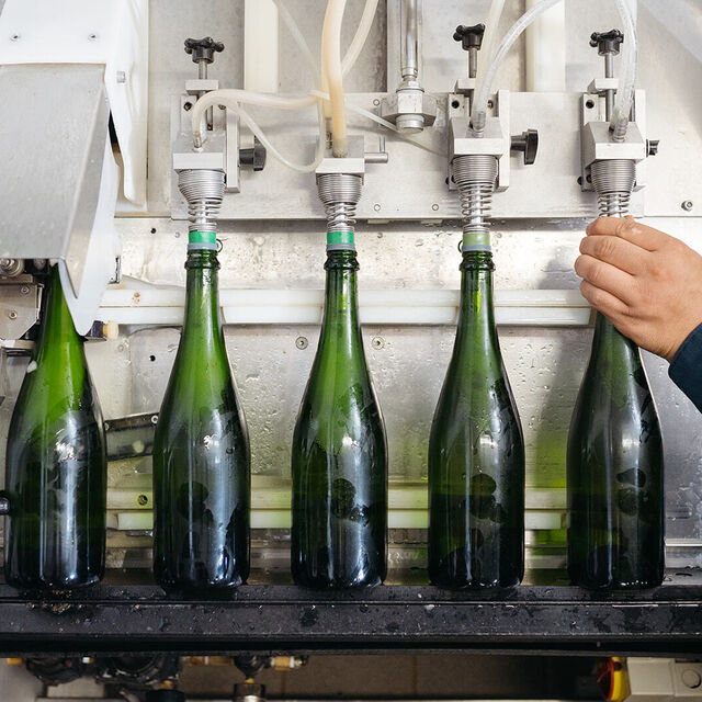 Mawby Disgorging 2022 0060 websize 1