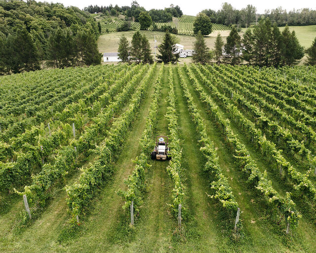 Mawby Lifestyle 2021 0158