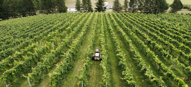 Mawby Lifestyle 2021 0158